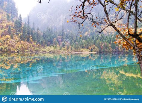 Beautiful Landscape Of The Five Flower Lake In Jiuzhai Valley National