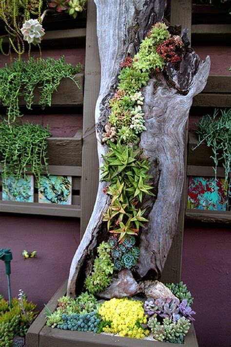 30 Captivating Backyard Succulent Gardens You Can Easily Diy Diy And Crafts