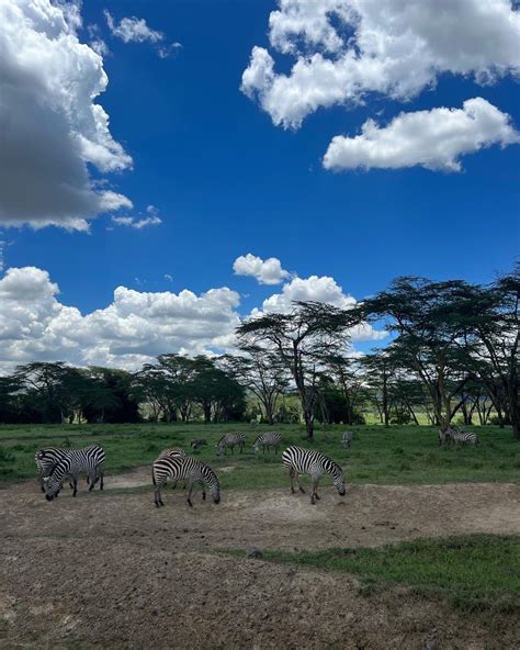 Lake Nakuru National Park Kenya Self Drive 4x4 Africa