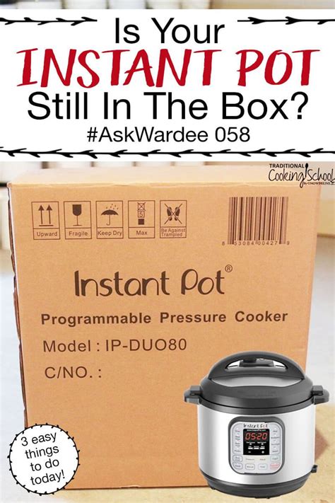 Dromedaries are used as beasts of burden in most of their domesticated range. So Your Instant Pot Is Still In The Box... {How To Get ...
