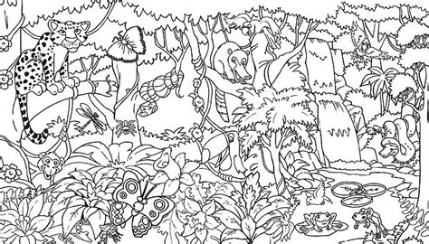 Free Rainforest Coloring Pages Color On Pages