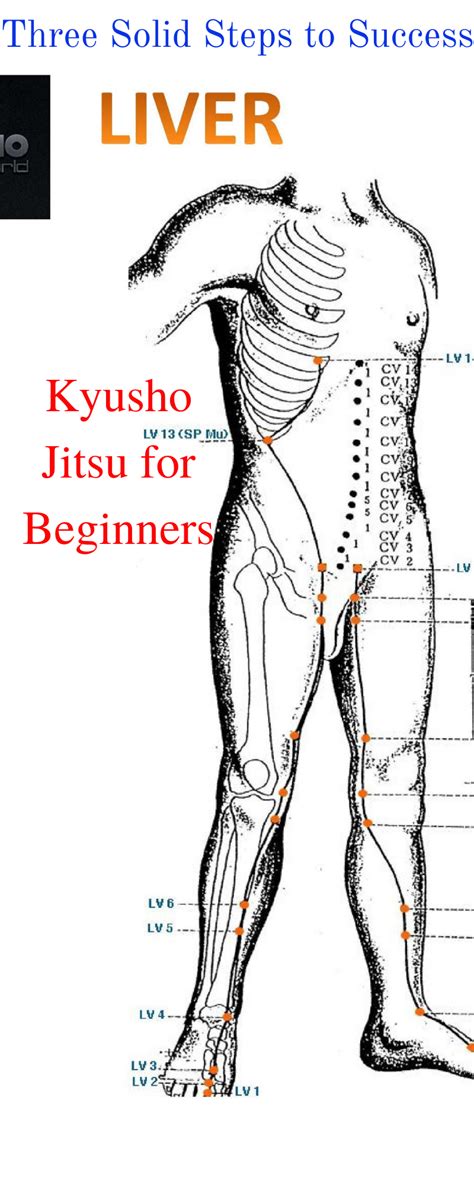 Kyusho Jitsu For Beginners Getting Started With Pressure Points