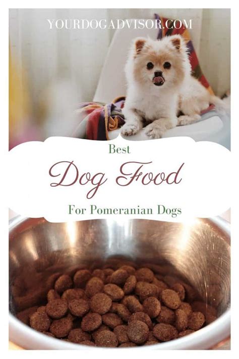 Best Dog Food For Pomeranian Dogs Your Dog Advisor