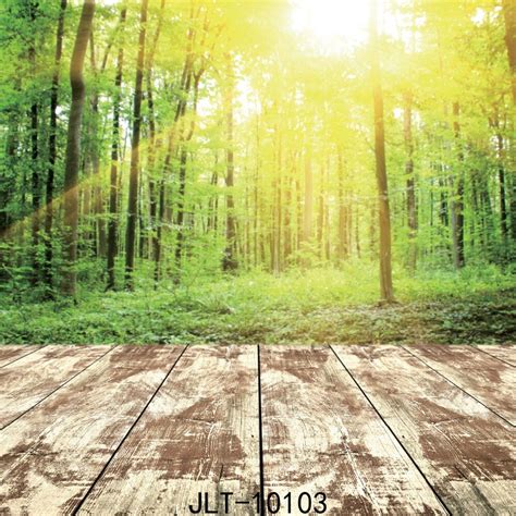 Sjoloon 6x6ft Art Summer Theme Sunshin Forest And Wood Floor Photo