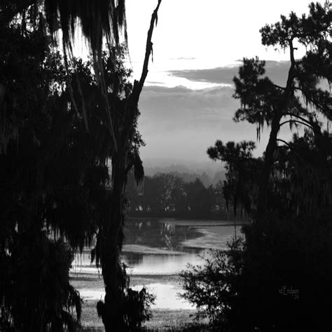 Alligator Lake At Dawn Photograph By Rd Erickson