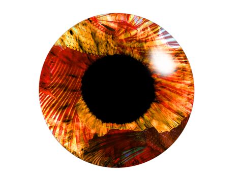Eye Lens PNG Image HD PNG All PNG All