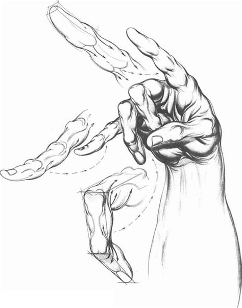Foreshortening Hand Drawing At Getdrawings Free Download