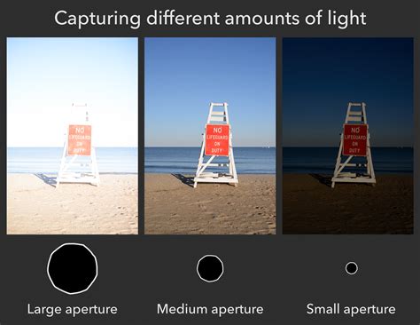 Understanding Aperture For Beginners Photography Basics