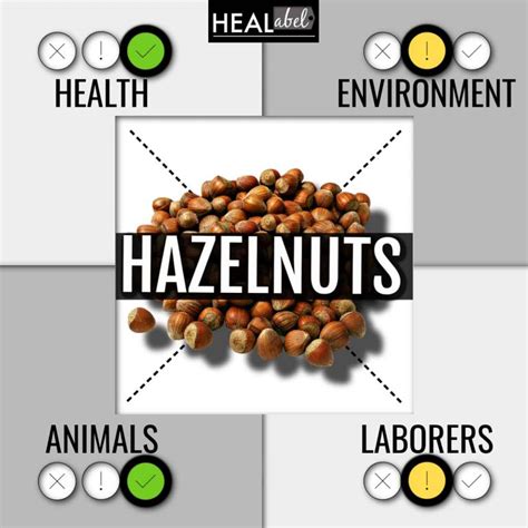 Hazelnut Benefits Side Effects Low Fodmap Acidic Or Alkaline
