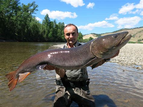11 Largest Freshwater Fish In The World