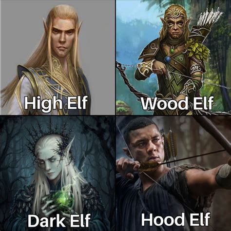 Dark Elf Is Already Taken And Wood Elf Lives In The Wood What About