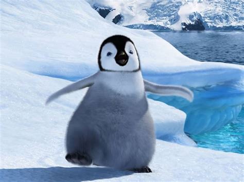 To make it easier to practice we can break the. Happy Feet 2006, directed by George Miller | Film review