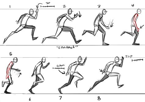 Running Loop Sketches Walking Animation Animation Reference
