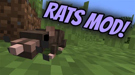 New Cute Rat Mob And Rat Dimension Rats Mod Spotlight Youtube