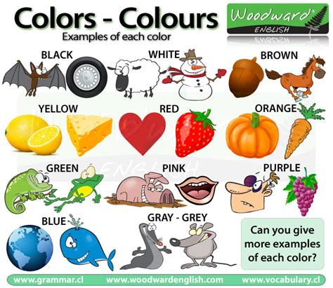 Colours Colors In English Vocabulary Los Colores En Inglés