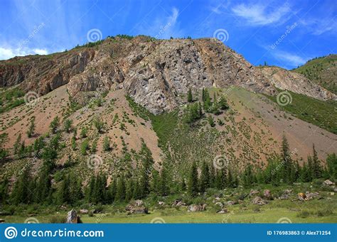 A High Rocky Mountain Overgrown With A Rare Coniferous Forest At The