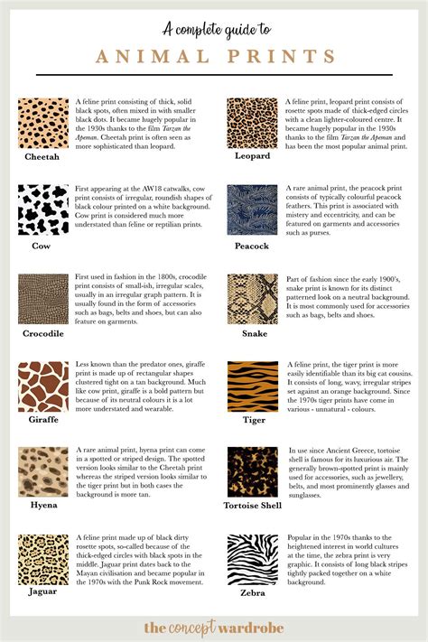 Complete Guide To Animal Prints Pinterest The Concept Wardrobe The