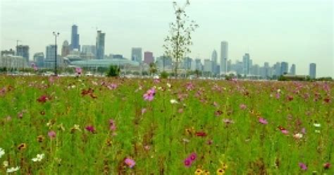 Emanuel announces construction on Northerly Island to begin this fall