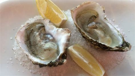 national oyster day        celebrated