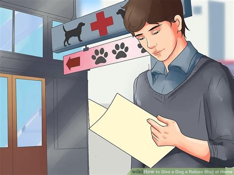 Stay on top of your puppy's vaccination schedule! How to Give a Dog a Rabies Shot at Home: 10 Steps (with ...