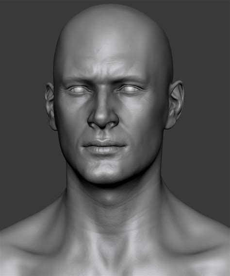 Realistic Human Head