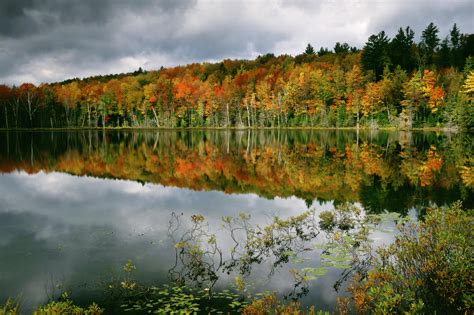 Autumn Forest Reflected In The Lake Fond Décran Hd Arrière Plan