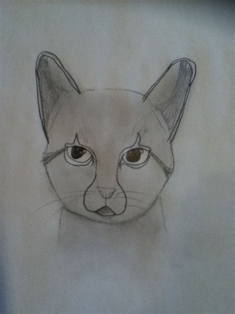 Realistic Cat By Moonshadow1234 On Deviantart