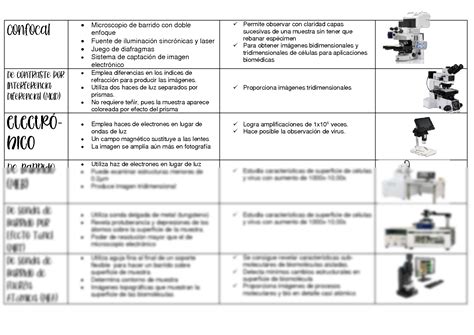 Solution Cuadro Comparativo Tipos De Microscopio Studypool