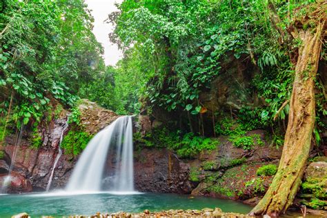 waterfall in the caribbean rainforest foto and bild landschaft fotos outdoor bilder auf
