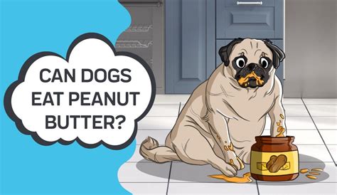 Can Dogs Eat Peanut Butter Can Dogs Eat Dog Eating Peanut Butter