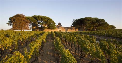 Bordeaux Winery Tour Extensive Bordeaux Grape Escapes