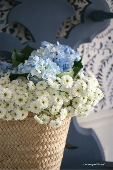 You can look at the address on the map. ciao! newport beach | Most beautiful flowers, Blue white ...