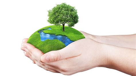 Hari Lingkungan Hidup Sedunia Juni Satu Bumi Untuk Masa Depan