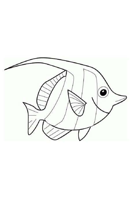 For boys and girls, kids and adults, teenagers and toddlers, preschoolers and older kids at school. How To Draw Angel Fish Coloring Page : Coloring Sky