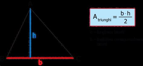 Aria triunghiului isoscel Ce este și cum se calculează IMPACT ro