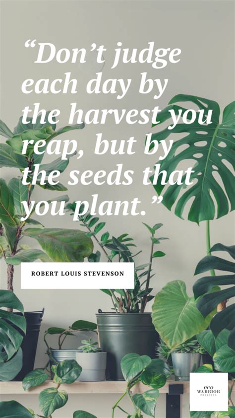 35 Inspiring Gardening Quotes To Encourage You To Grow Plants Garden