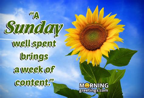 15 Funny Interesting Sunday Quotes Morning Greetings Morning Quotes