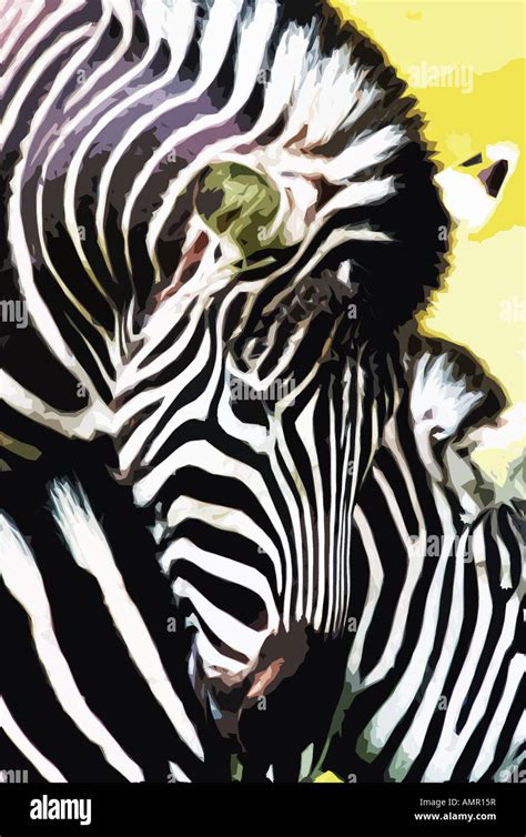 Zebras Stripes Photo Illustration Stock Photo Alamy