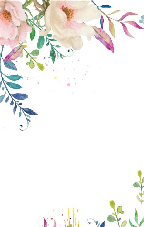White Watercolor Flower Png Pastel Flower Border Png Free