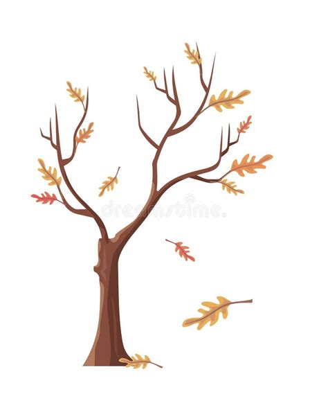 Oak Tree With Falling Leaves Stock Vector Illustration Of Design