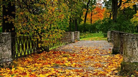 Autumn Bridge Wallpapers Top Free Autumn Bridge Backgrounds