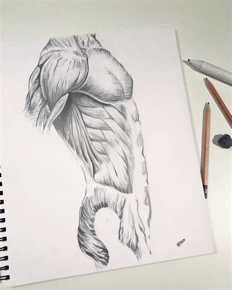 Human Body Drawing Done Last Year In Pencil Rdrawing