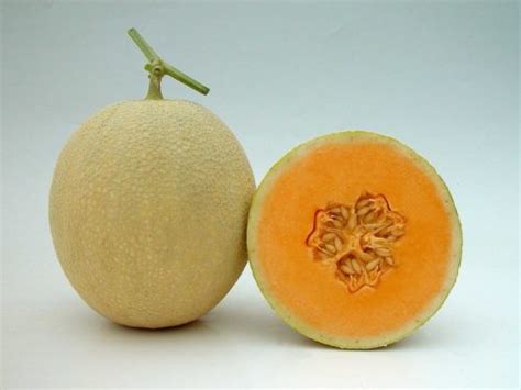 Melon Red Aroma Known You Seed America