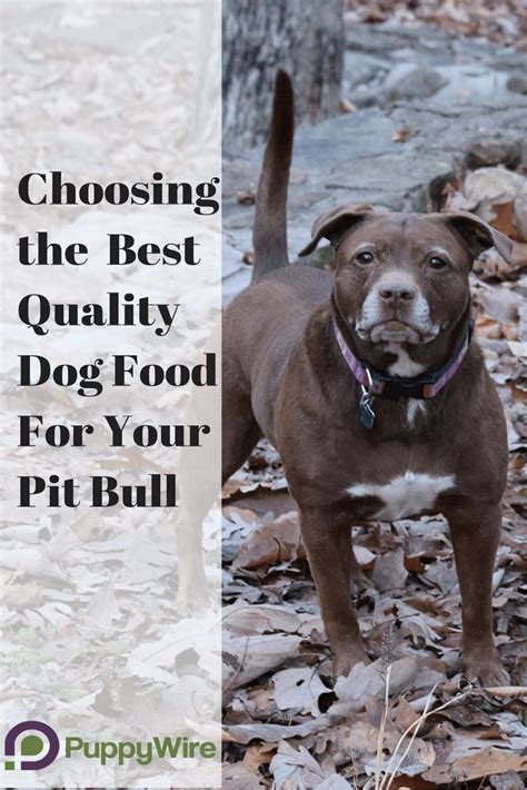 Next, we will go over an overview of dog food ingredients and aafco regulations. Best Dog Food for Pitbulls: 8 Picks for Puppies, Seniors ...