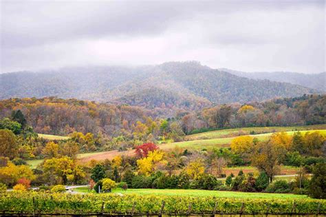 Charlottesville, Virginia Travel Guide: Best Dining, Vineyards, Hotels