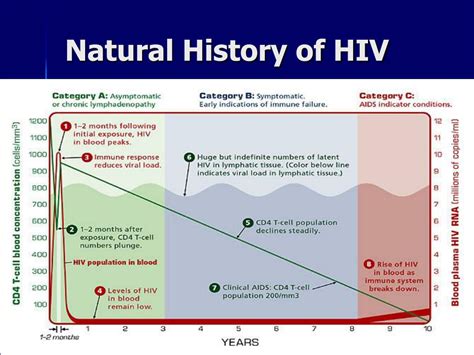 Ppt Hiv Update Powerpoint Presentation Free Download Id3278636