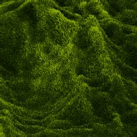 Explore and share the best grass is always greener gifs and most popular animated gifs here on giphy. The Grass Is Always Greener Over The Septic Tank GIFs - Find & Share on GIPHY
