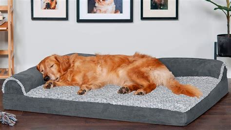 What Is The Best Dog Bed For A Golden Retriever