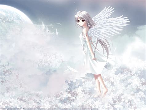 The White Angels ~fly High