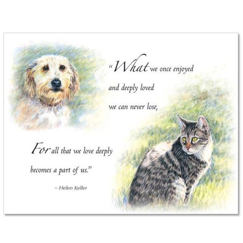 S82 Fixed Message Pet Sympathy Card Veterinary Wisdom